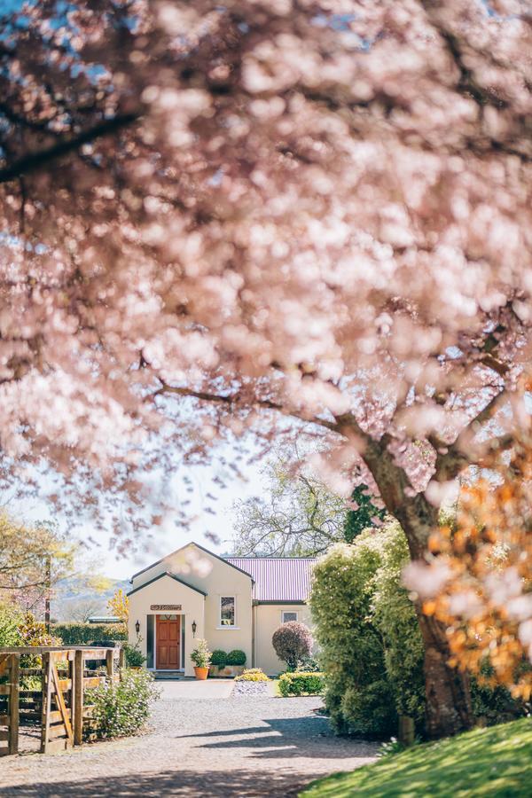 Lexington Park Cottages Cambridge Eksteriør bilde